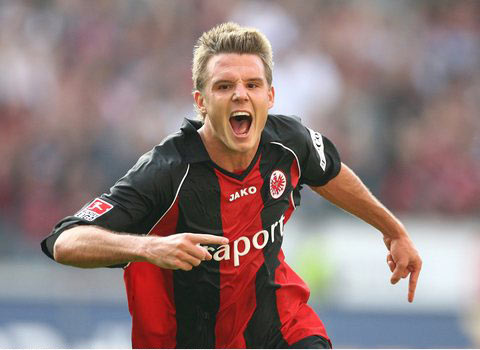 不可忽视 不可忽视